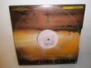 PABLO MASTER RARE MAXI PRIVATE PRESS FRENCH RAGGAMUFFIN REGGAE 80S RAGGA VINYL