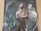 In Flames - Reroute To Remain - LP - Picture LP - Pressung Jahr 2002