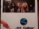 NM Guns N Roses 44 Caliber Horticulture 2 LP Bootleg Club 51 GNR Guns & Roses LP