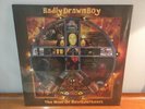 badly drawn boy -the Hour Of Bewilderbeast vinyl, New Sealed
