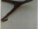 Wishbone Ash - S/T LP - Decca VG++