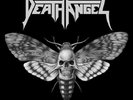 Death Angel - The Evil Divide (Vinyl 2 LP) NEW