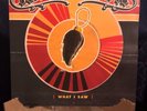 Kings of Leon: What I Saw (10