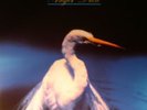 FAITH NO MORE - Angel Dust - Vinyl (limited gatefold 180 gram vinyl 2xLP)