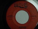 1980 Freehold NJ indie power pop bar rock 45 The Flossie Band Non-LP LISTEN