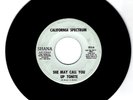 CALIFORNIA SPECTRUM-1969 KANSAS PSYCH & GARAGE-SHAWN HARRIS & MICHAEL LLOYD