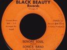 Rare Chicago Funk 45 SONICS BAND Senore Soul / Nickle Bag on Black Beauty