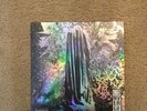 The Dusk in Us * by Converge (Vinyl) Indie Exclusive
