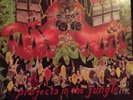 Pantera Vinyl Projects In The Jungle Original 1984