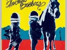 True Sadness [LP] by The Avett Brothers (Vinyl, Aug-2016, 2 Discs, Island...