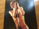Iggy Pop - Raw Power  LP EXCELLENT Sundazed Reissue Mint