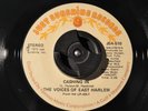 THE VOICES OF EAST HARLEM   CASHING IN, I LIKE HAVING YOU AROUND 1973 RARE 45 EX