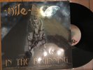 Nile - In The Beginning LP (first press on Hammerheart Recs, ltd. to 1000, rare)