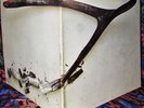 PLAYS MINTY CLEAN  ORIG 1970 1st WISHBONE ASH  THRILLING HARD PROG   2 x GUITARS