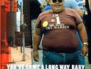 Fatboy Slim - You've Come a Long Way Baby - Double LP Vinyl - New