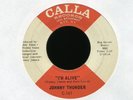 JOHNNY THUNDER I'm Alive on Calla Mod Fuzz 45 Hear