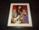 White lion/Vito Bratta-original picture framed