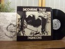 SACCHARINE TRUST LP 