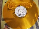 MXPX Panic GOLD COLORED Vinyl LP Mint