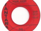 THE MOVING SIDEWALKS  I Want To Hold Your Hand Texas Garage Psych 45 ZZ TOP HEAR
