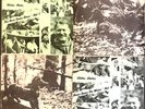 FOX HOLLOW FOLK FESTIVAL LPs Volumes 1-4 RARE PRIVATE FOLK ’67-’69 Jean Ritchie