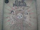 Enter Shikari Take To The Skies Vinyl Signed Rare First Press Black Label