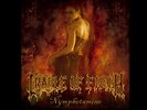Cradle of Filth Nymphetamine Vinyl LP