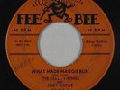 Doo-Wop 45 - Dell-Vikings - What Made Maggie Run - Fee Bee - mp3