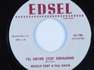 Doo Wop R&B 45 ERCELLE TISBY & HAL DAVIS I'll Never Stop Dreaming EDSEL HEAR