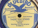 AMOS BUMBLE BEE SLIM BIG BILL BROONZY BLUEBIRD 5880 BLUES 78 RPM E/E-