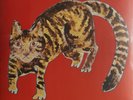 Yasuaki Shimizu - Kakashi - 12