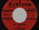 Blues R&B 45 - Doctor Ross & The Orbits - Cat Squirrel - Fortune - mp3
