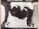SACCHARINE TRUST Paganicons ORIGINAL PRESS KBD PUNK LP SST EX