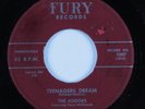 Doo Wop R&B 45 KODOKS Teenagers Dream FURY HEAR