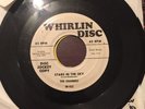 THE CHANNELS Gleam In Your Eyes 45 WHIRLIN DISC 102 DOOWOP wlp GORGEOUS