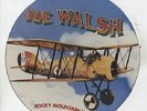 Joe Walsh (The Eagles) - 12