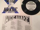 Wide Awake - Ct. Hardcore - Schism (1st Press) SXE NYHC GORILLA BISCUITS YOT
