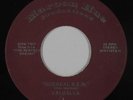 Psych Folk 45 - Valhalla - Sidereal R.E.M. - Maroon Hue - VG++ mp3