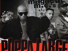 Ultramagnetic MC's / Poppa Large