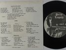 Psych Folk EP - Perry Leopold - Falling In Love (Again) - Private - mp3