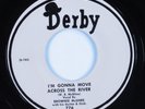 R&B Rocker 45 BROWNIE MCGHEE Gonna Move Across The River DERBY HEAR
