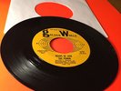 Sue Perrin 45, 