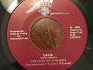 Sunshine Pop Psych 45 Creation Of Sunlight-David HEAR IT