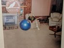 NEW Julia Jacklin Don't Let The Kids Win Ltd Early Bird LP Vinyl SEALED Record