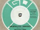 OUR PLASTIC DREAM*ENCAPSULATED MARIGOLD*PSYCH*MOD*STOCK COPY*LISTEN TO IT