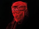 God's Problem Child - VINYL - WILLIE NELSON   FREE SHIPPING  NO TAX