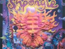 Shpongle  ?–  Museum Of Consciousness (2 LP, Limited Edition, 3D Cover)