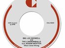 DOWELL, Big Lee/THE CANNONBALLS feat MAXIM MOSTON - What I Done Wrong (reissue)