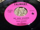 Garage Rock 45 Dave Scherer & Castels 