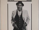MUDDY WATERS: Hard Again USA Blue Sky PROMO Stamp Vinyl LP Blues
